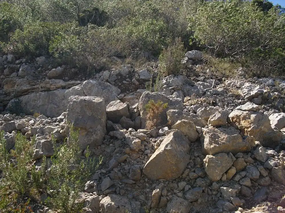 Rural land for sale in C/ Isla Mancolibre, imagen 12