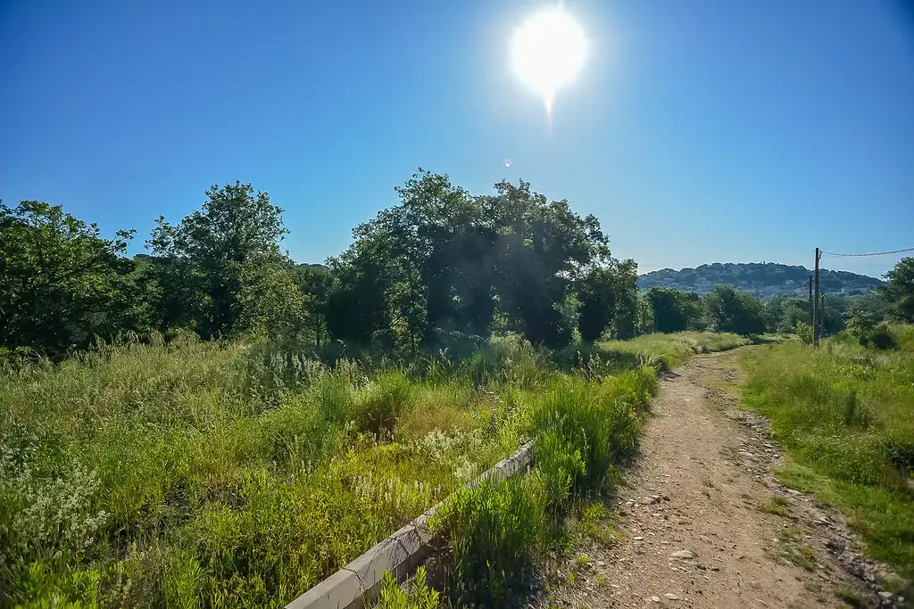 Terreno rústico en venta en Av de la Selva, imagen 18