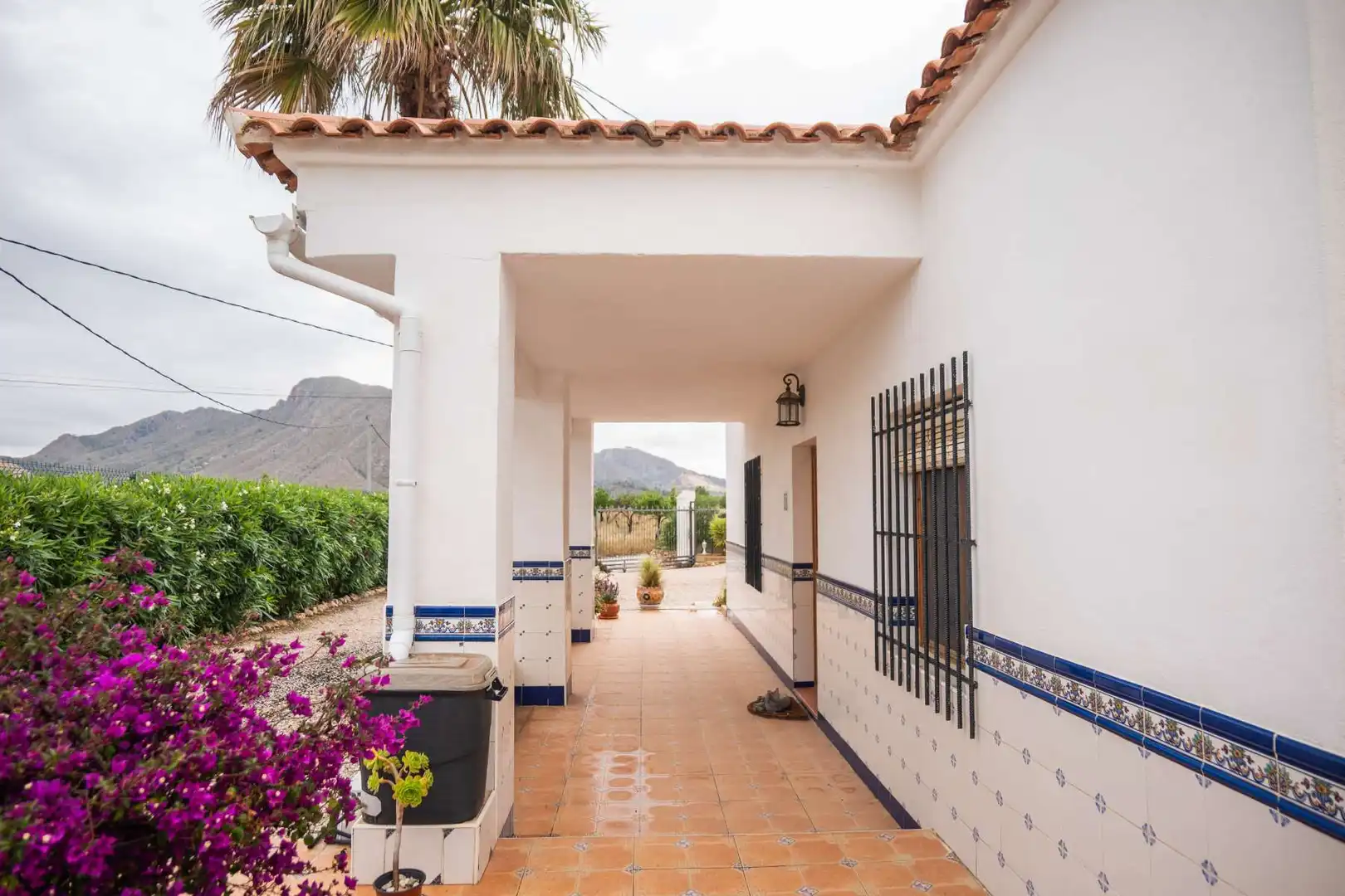 Vista exterior de Casa o chalet en venta en Orihuela con Jardín privado, Terraza y Trastero