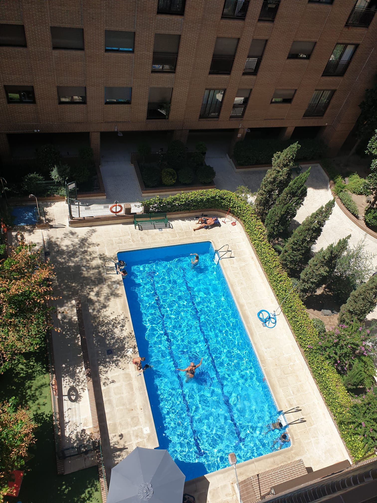 Swimming pool of Flat to rent in  Madrid Capital  with Air Conditioner, Heating and Furnished
