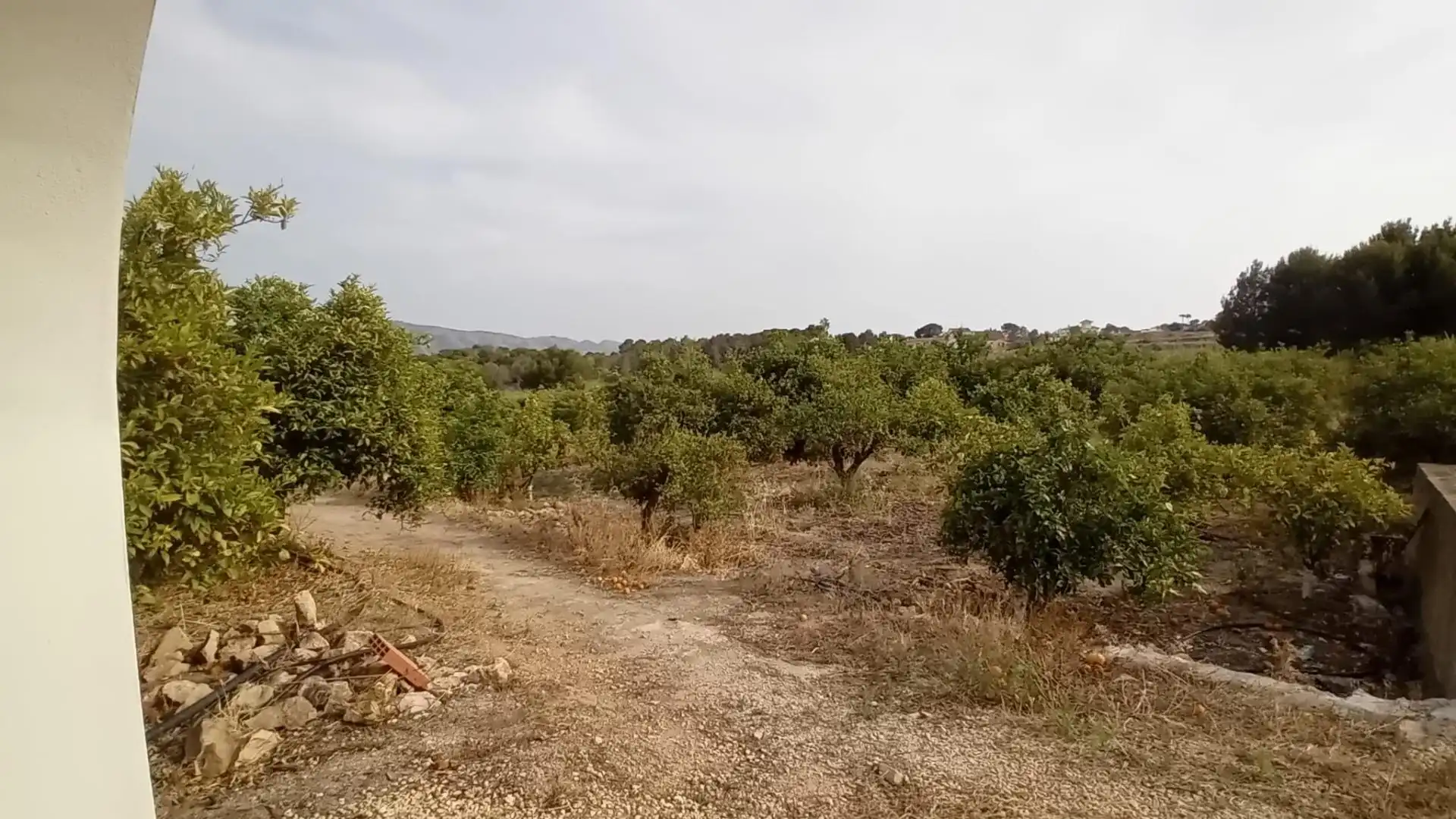 Rural land for sale in Altea ciudad, imagen 11