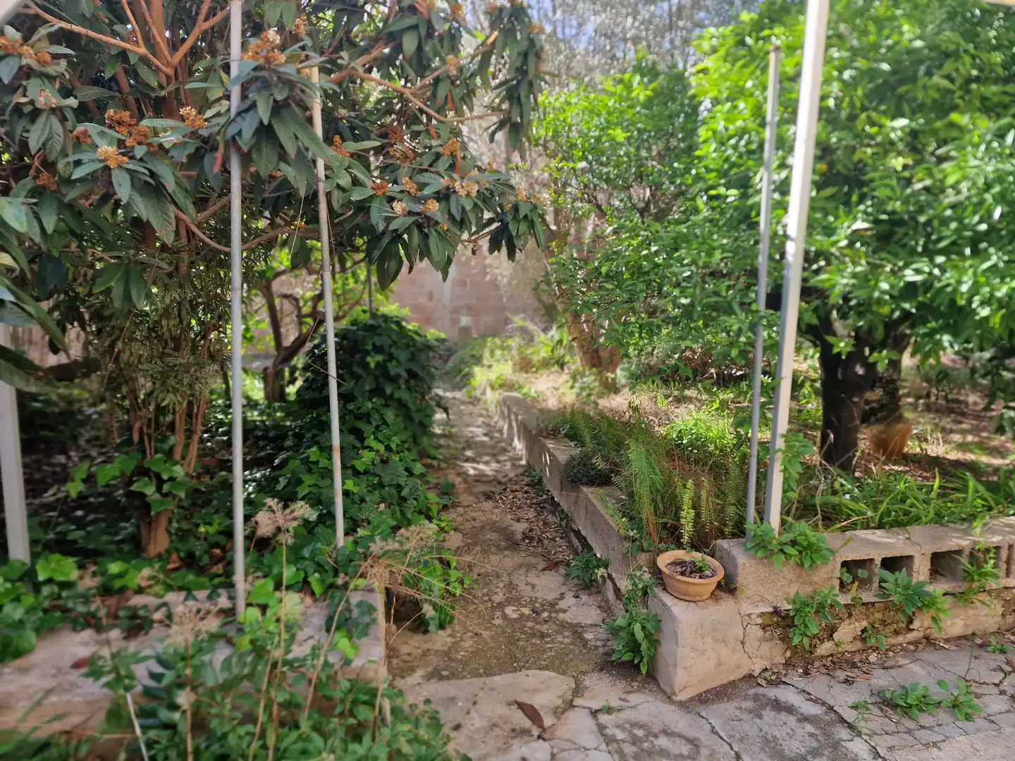 Haus mit Garten zum Verkauf in Selva, imagen 47