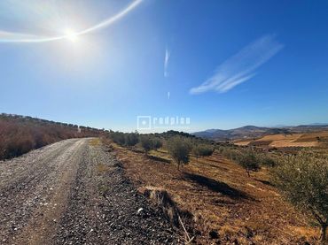Residential land for sale in Diseminados