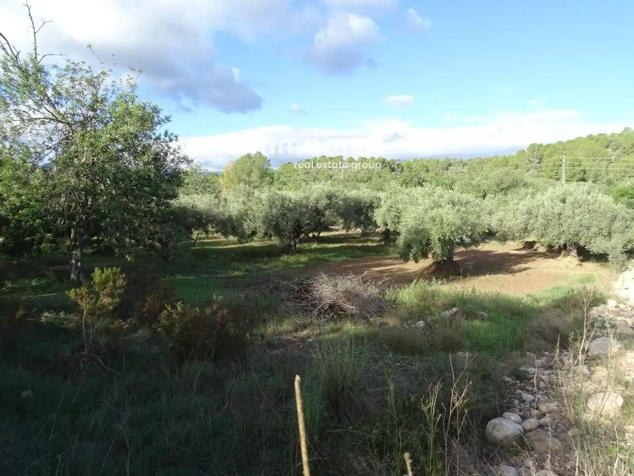 Houses for sale in Aldover