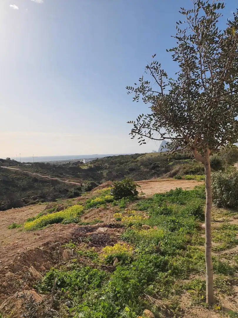Residencial en venta en La Línea de la Concepción