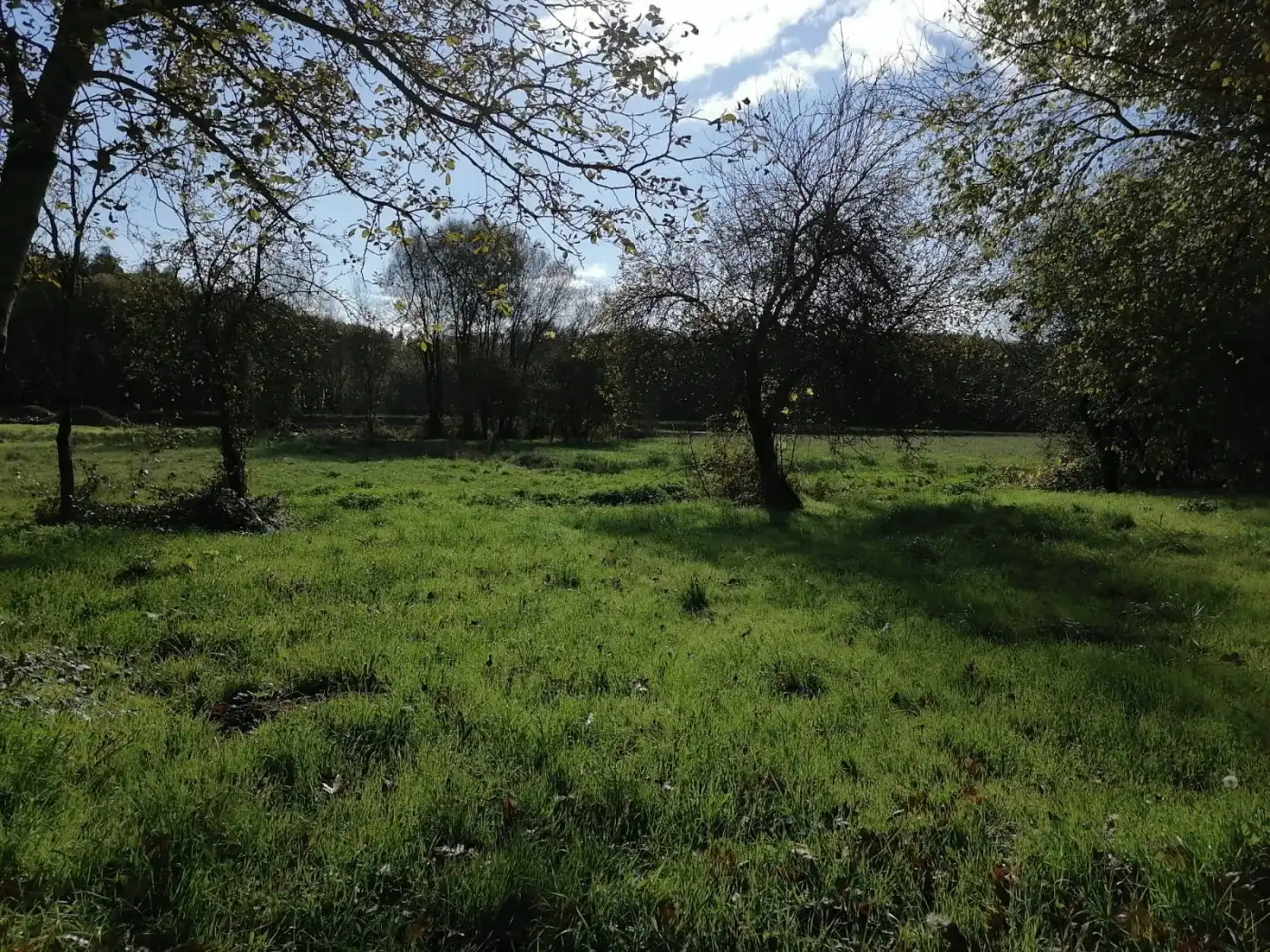 Terreni e lotti in vendita a Castro de Rei, imagen 3