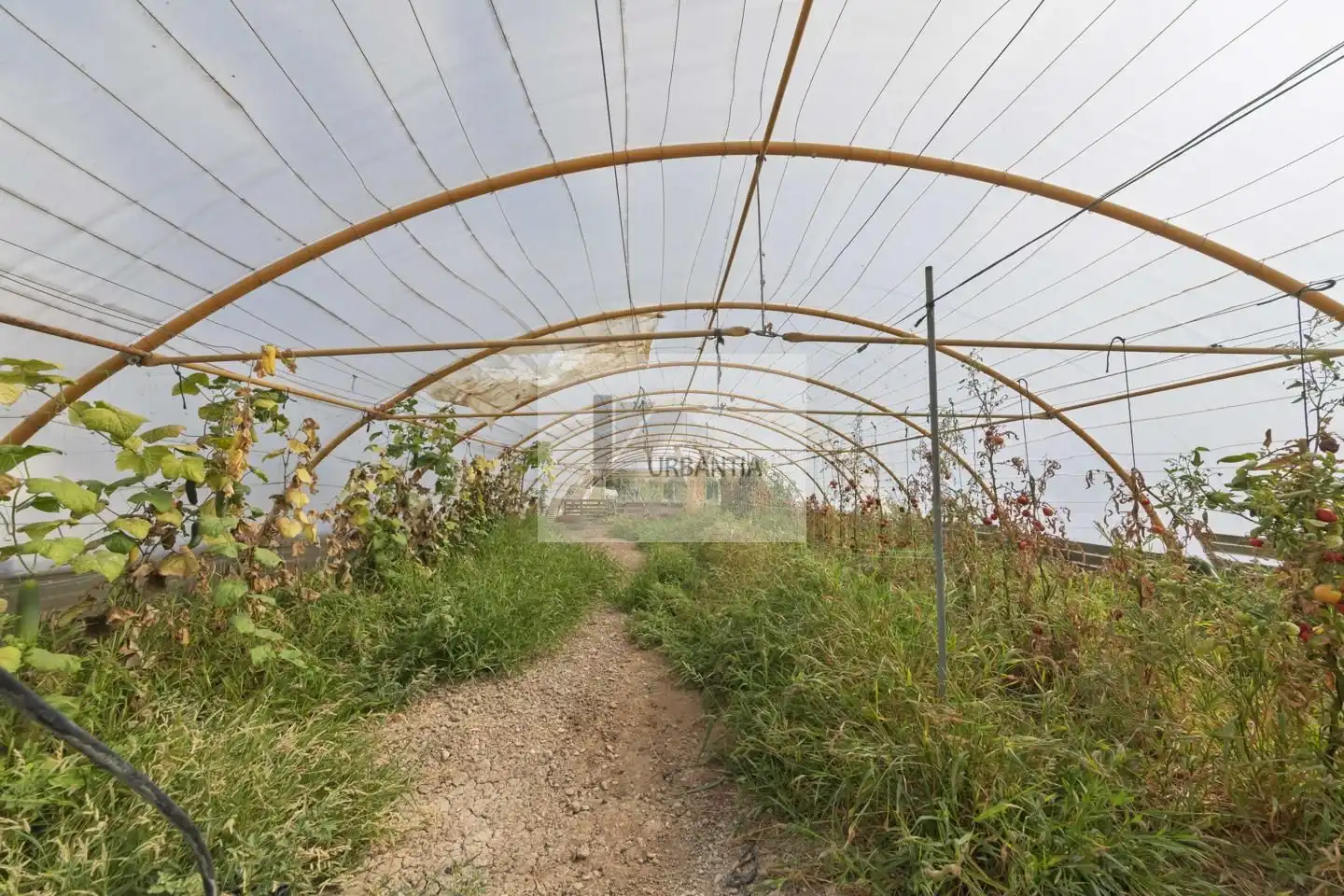 Finca rústica en venda a Diseminado, Larraga