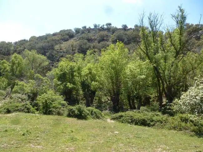 Terreni e lotti in vendita a Villacastín, imagen 9