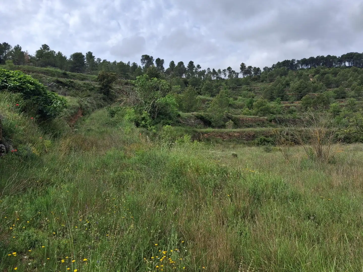 Rural land for sale in Gandesa, imagen 56