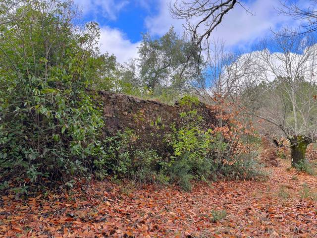 Terreno en Venta en Galaroza