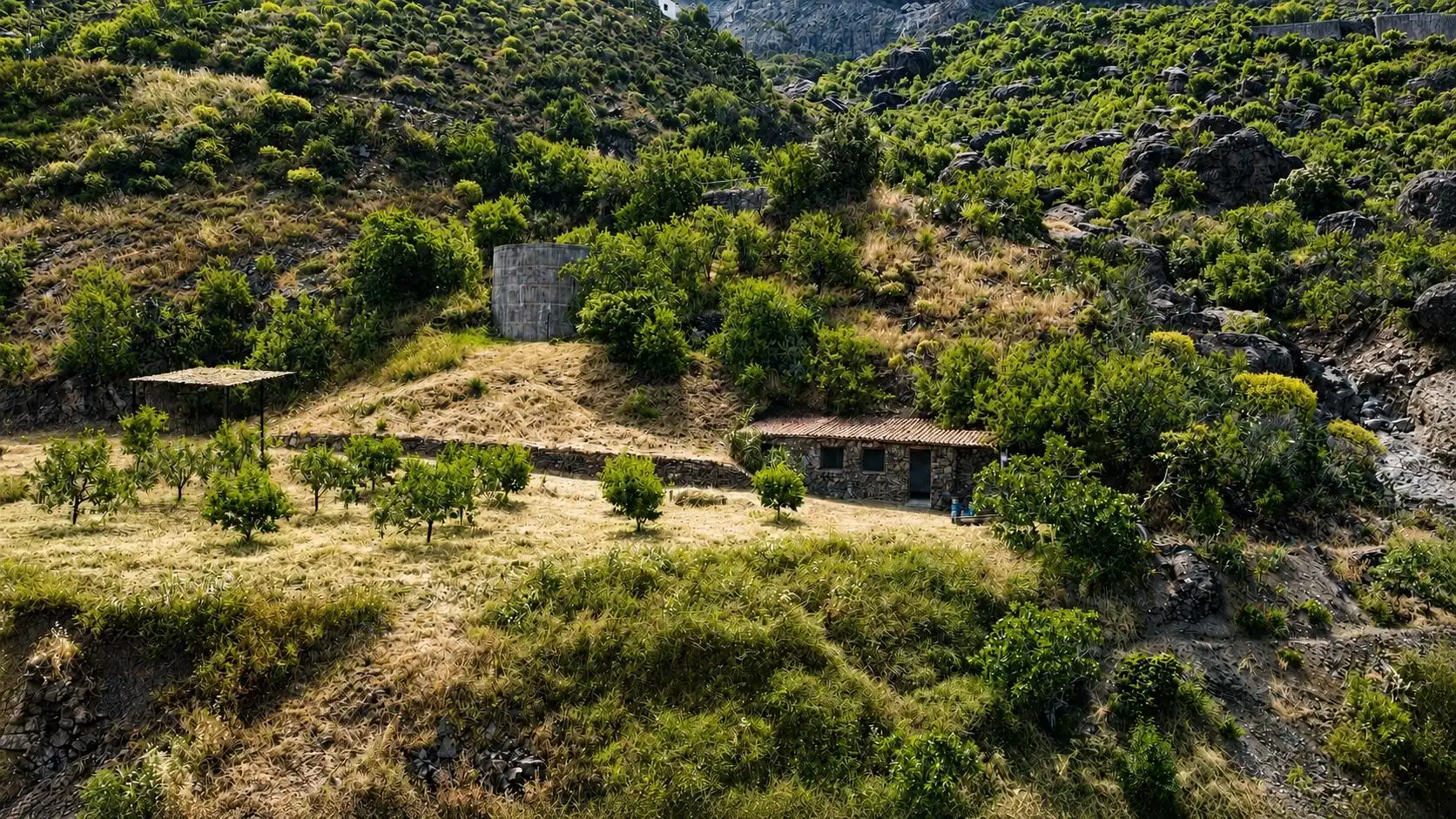 Finca rústica en venta en Tejeda con Terraza