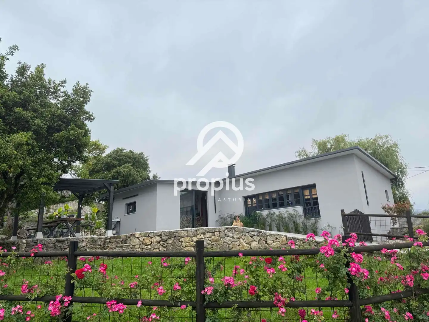 Vista exterior de Casa o chalet en venta en Ribadesella con Calefacción, Jardín privado y Terraza