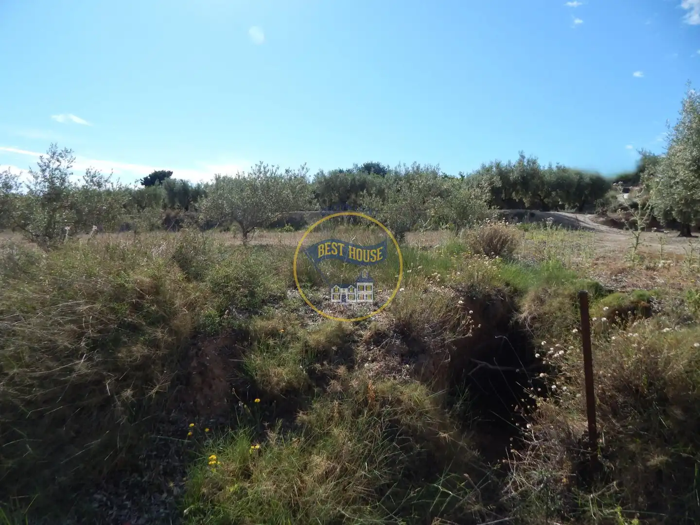 Terreny rústic en venda a Agullent, imagen 13
