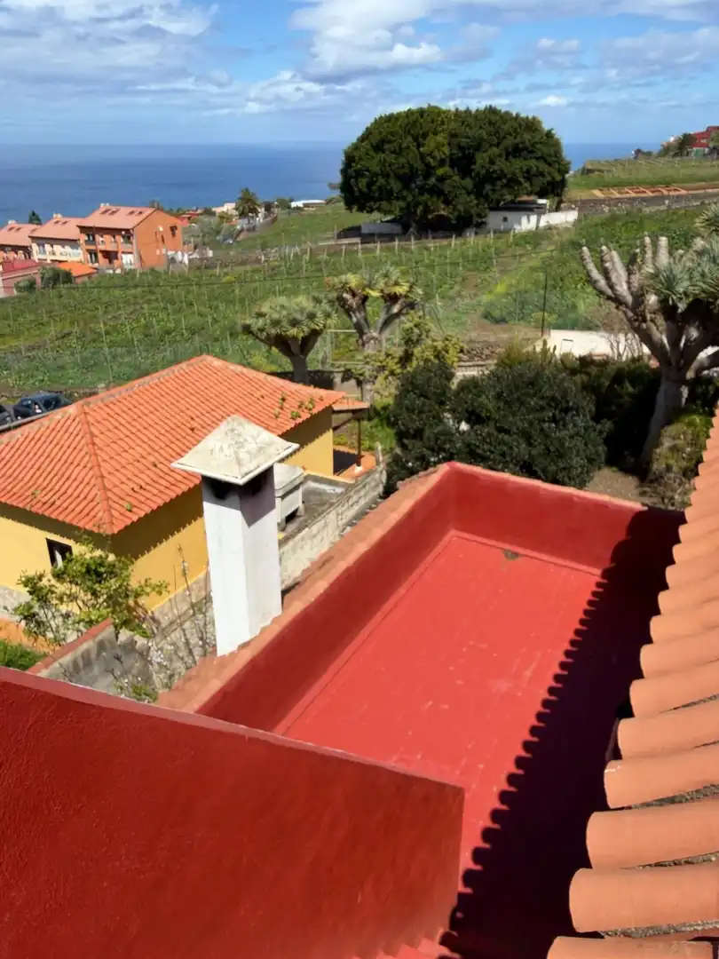 Jardín de Casa o chalet en venta en Tacoronte