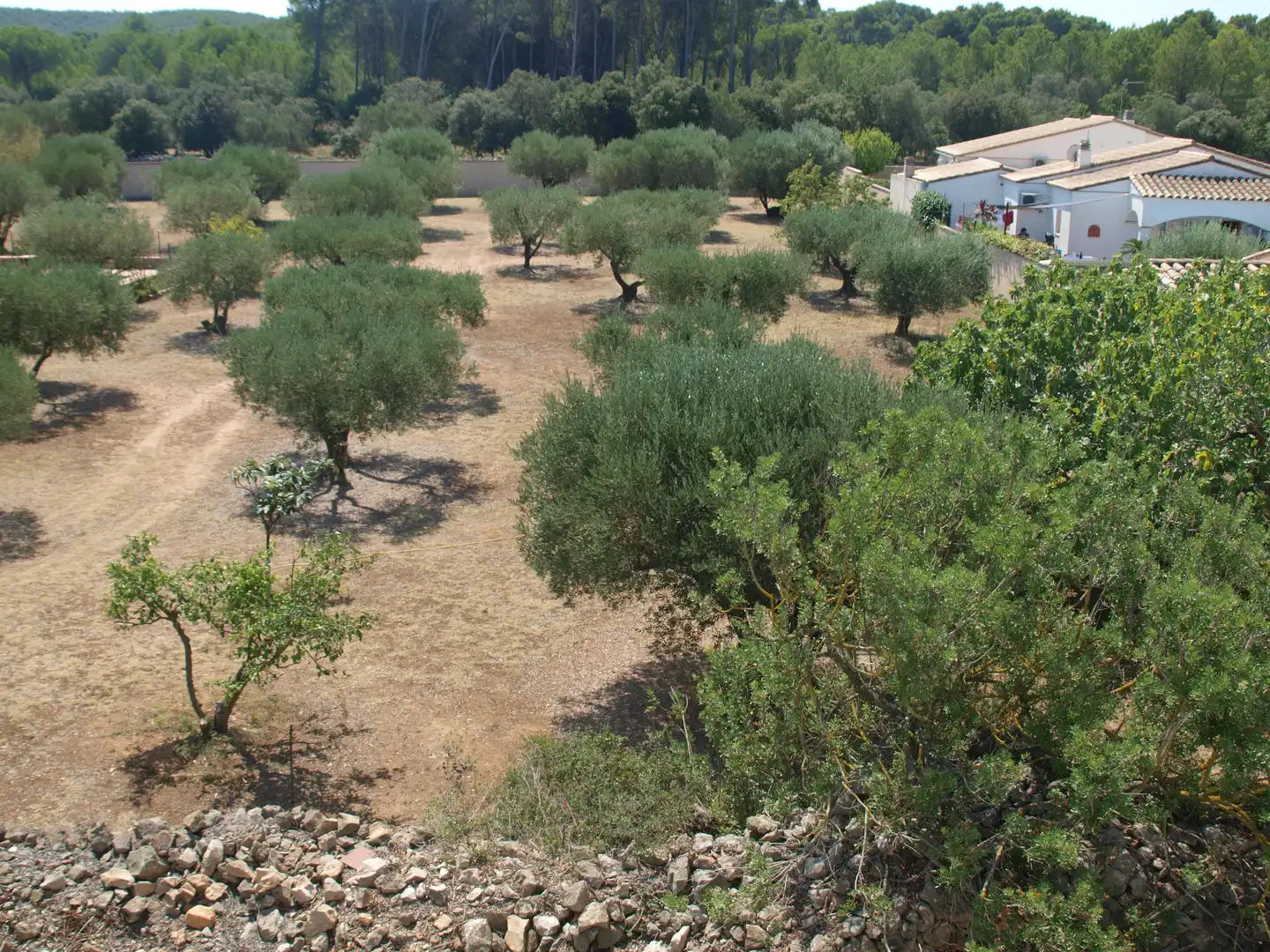 Terreno residencial en venta en Riells, imagen 3