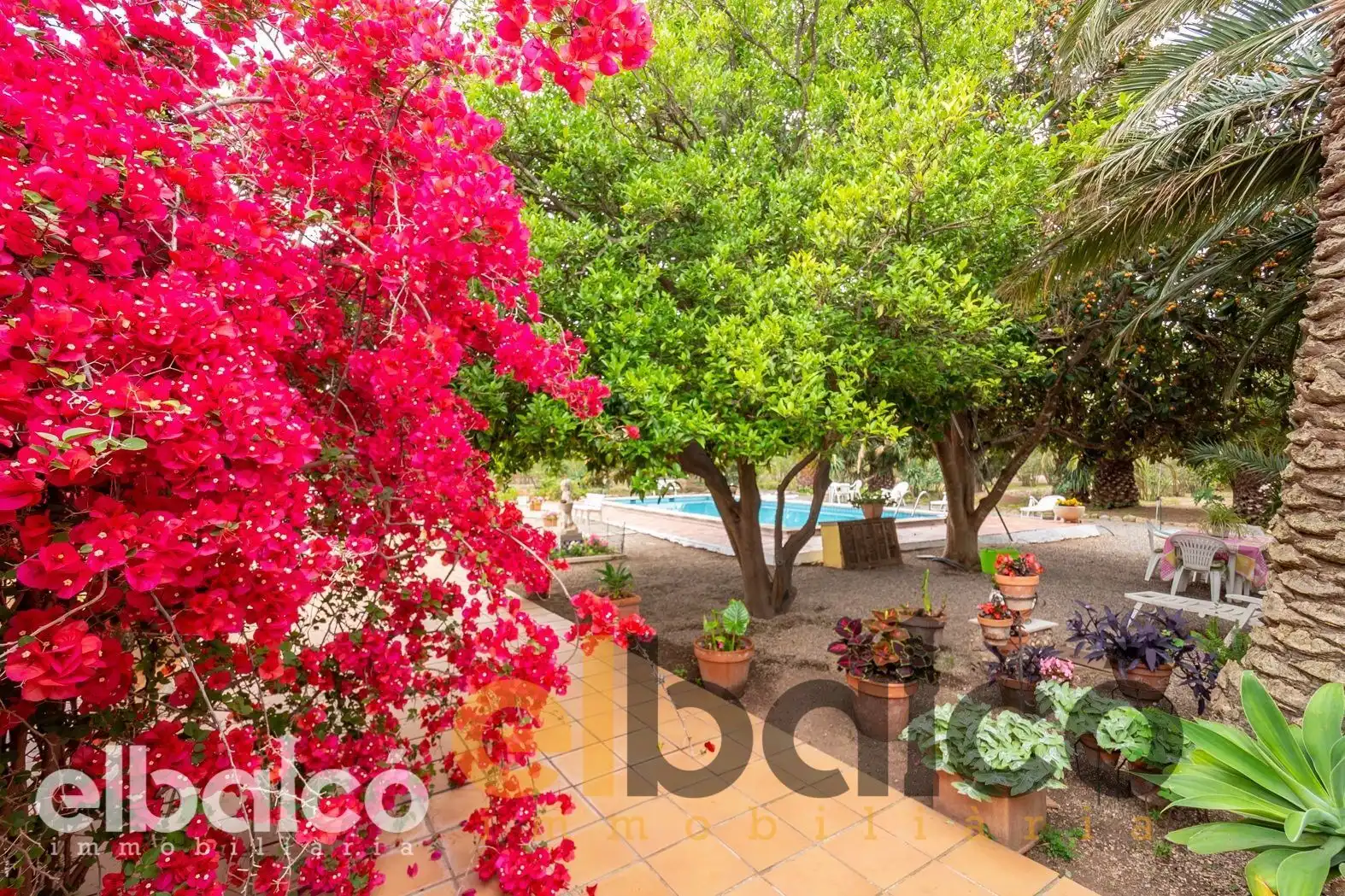 Jardín de Casa o chalet en venta en Valls con Terraza, Piscina y Amueblado