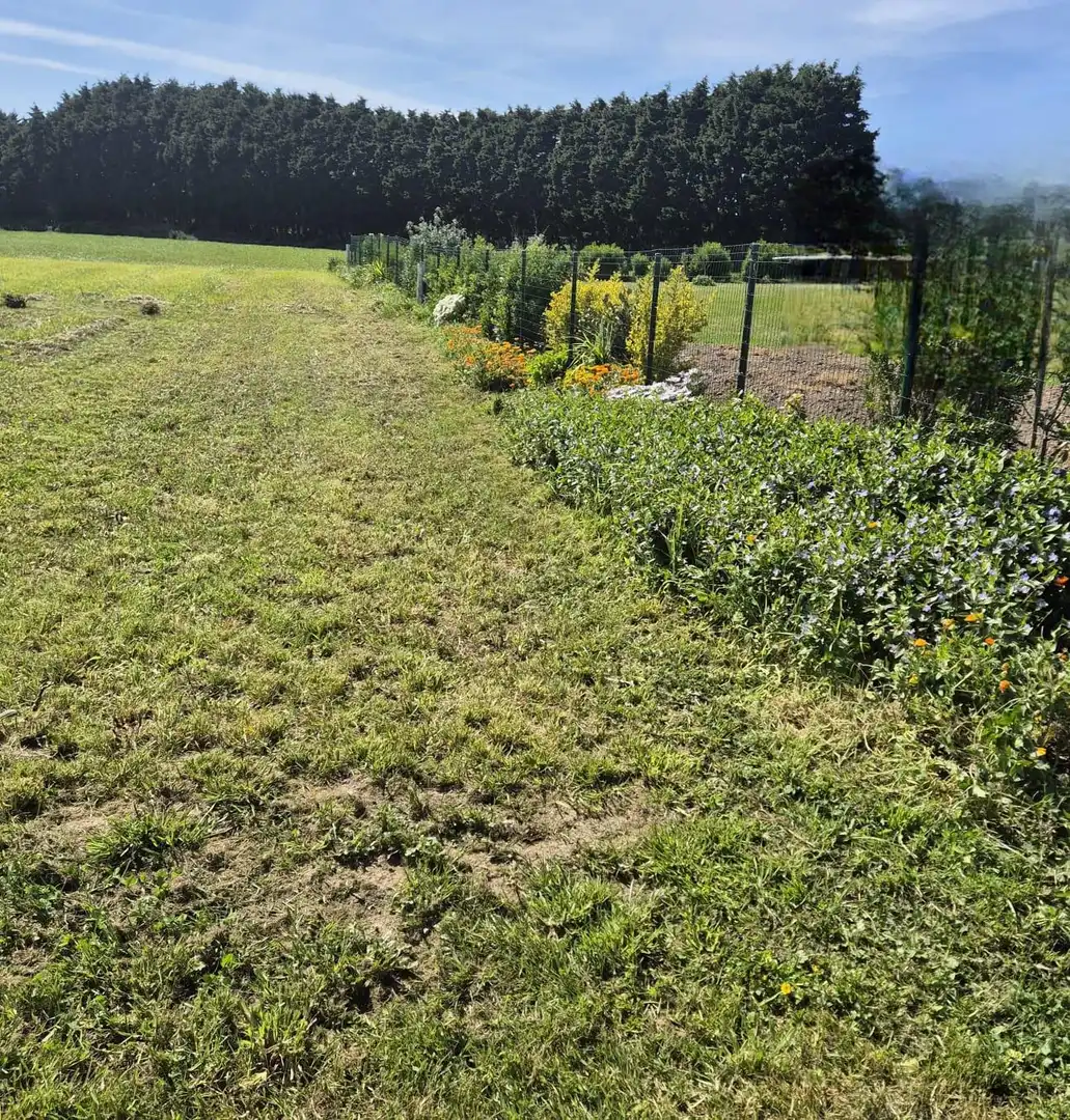 Grundstücke und Bauplätze zum Verkauf in Lugar Campos, imagen 6