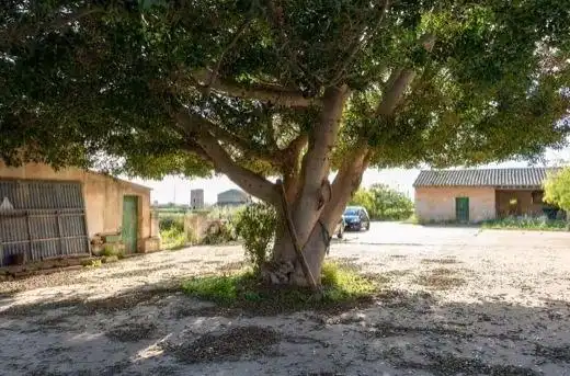 Landhaus mit Garten zum Verkauf in Llevant, imagen 2