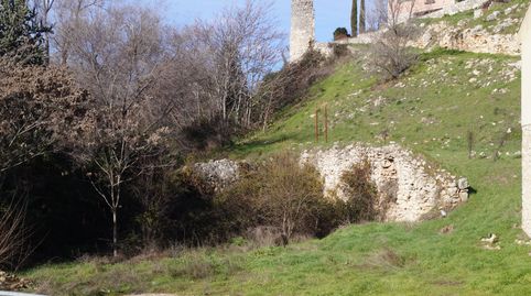 Immagine 1 dell'annuncio