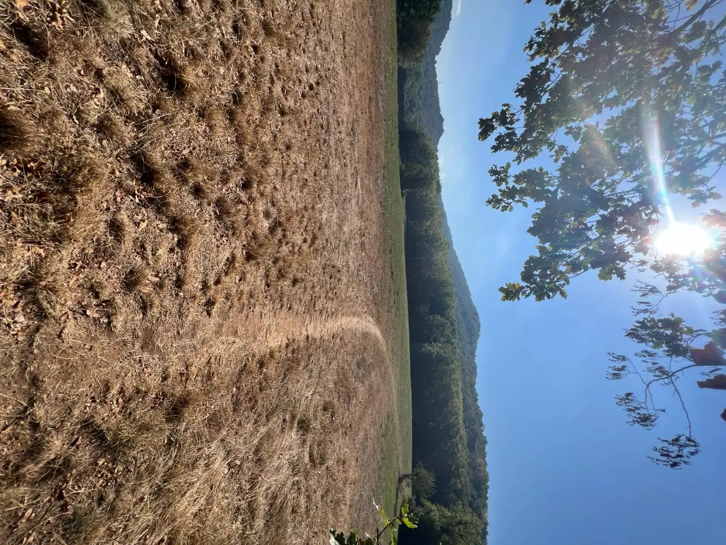 Finca rústica en venda en Olot