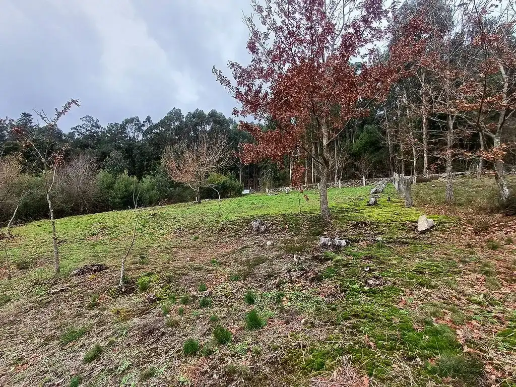 Residencial en venda en A Cañiza  