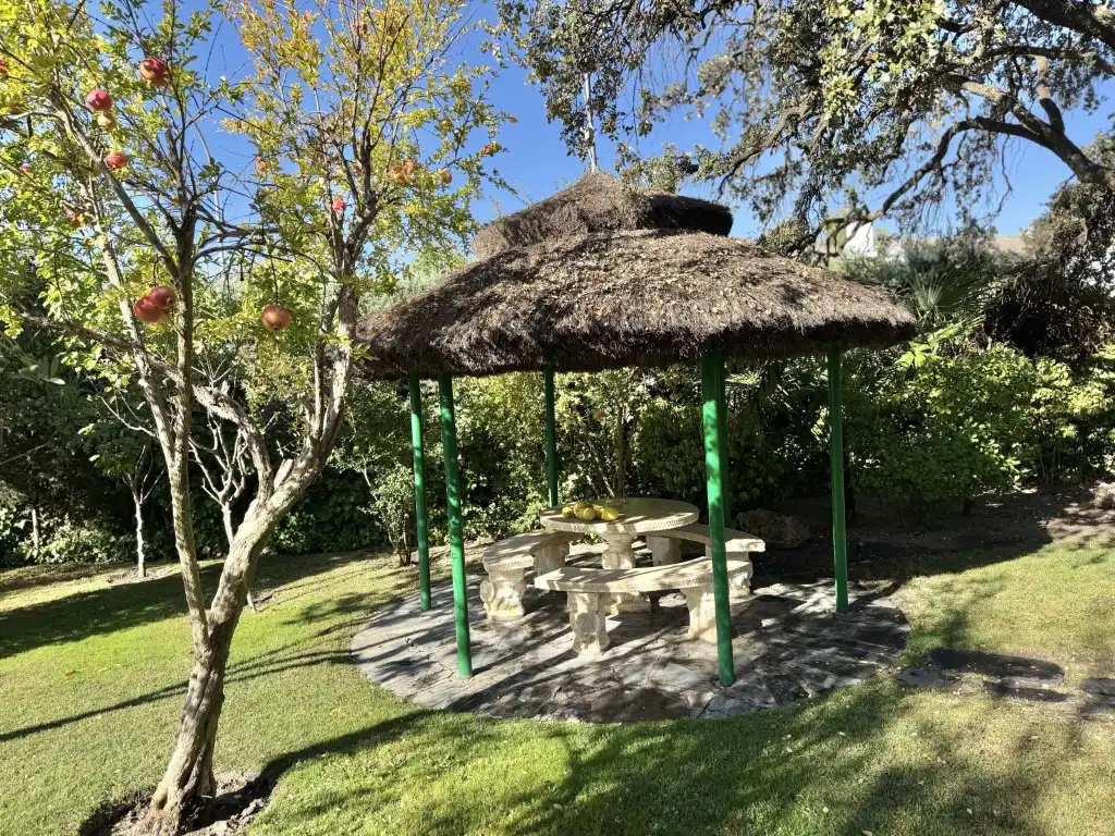 Jardín de Casa o chalet en venta en Algete