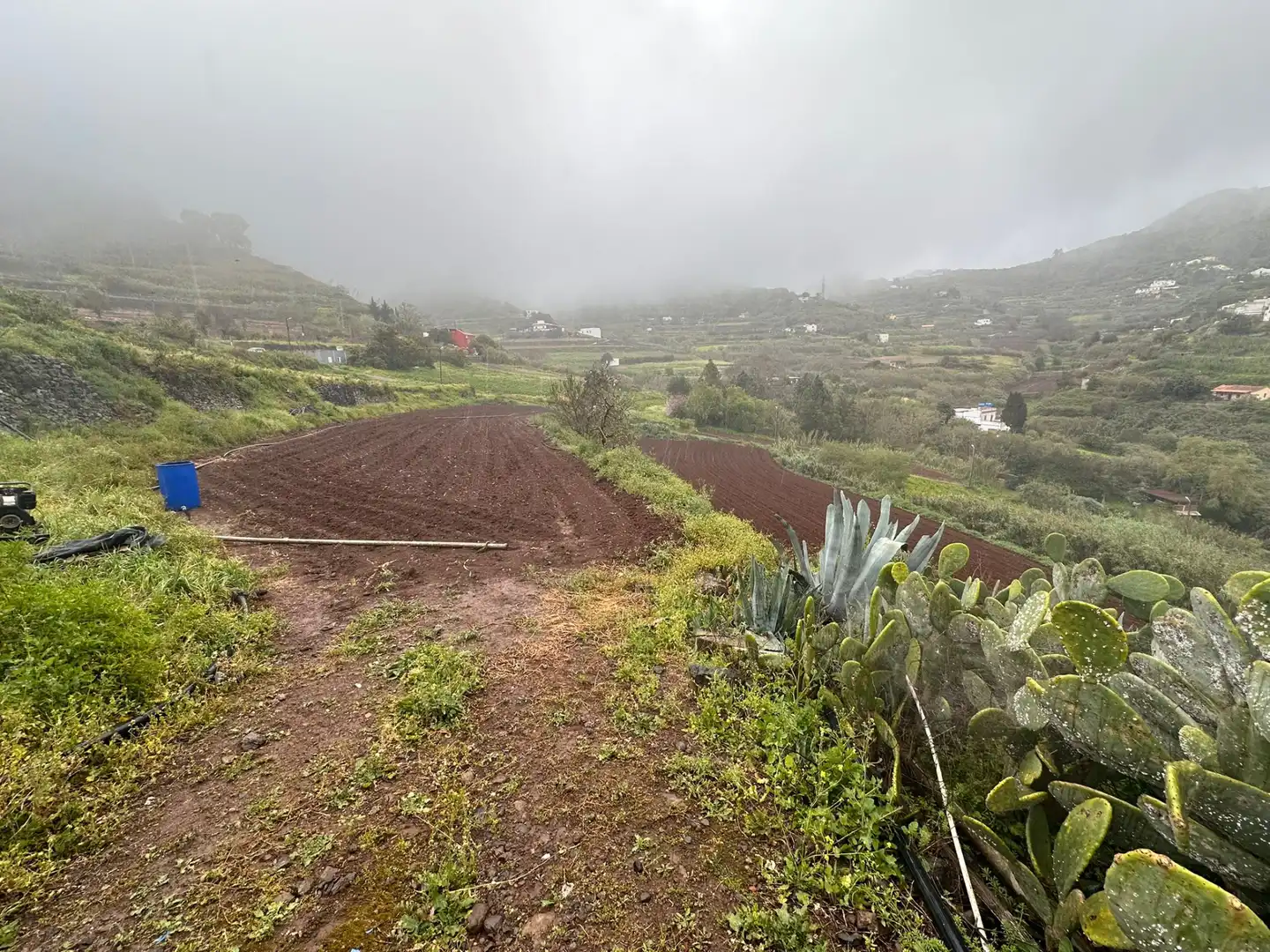 Country homes for sale in Teror  with Private garden and Terrace