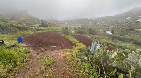 Foto 2 de Finca rústica en venta en El Álamo - Arbejales, Teror