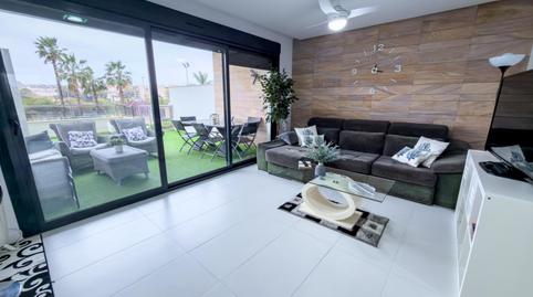 Foto 3 de Planta baixa en venda a  Holanda Mp, Mil Palmeras, Pilar de la Horadada