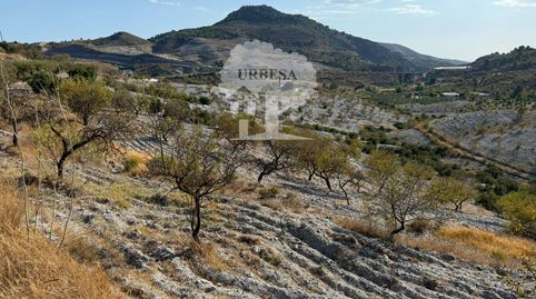 Foto 5 von Grundstücke zum Verkauf in Vélez de Benaudalla, Granada