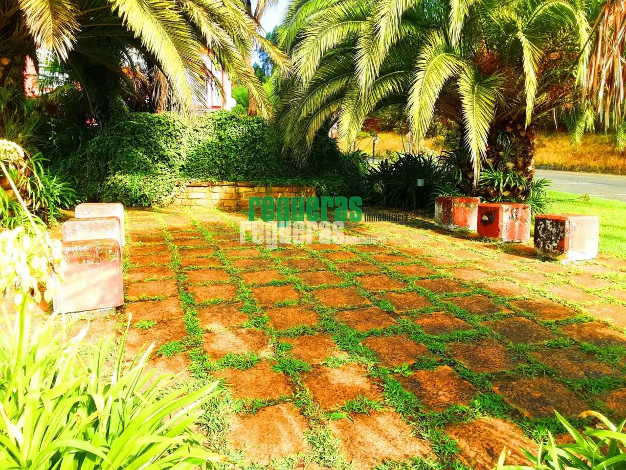 Business premises to rent in Mofeo, imagen 8