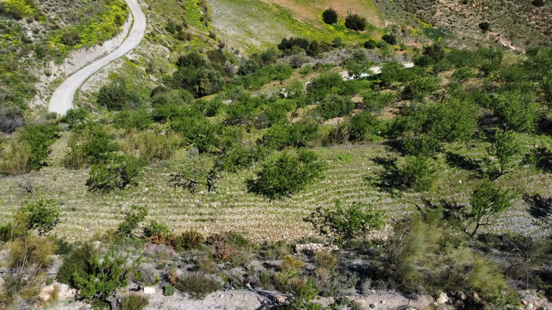 Rustikales Grundstück zum Verkauf in Gualchos pueblo, imagen 11