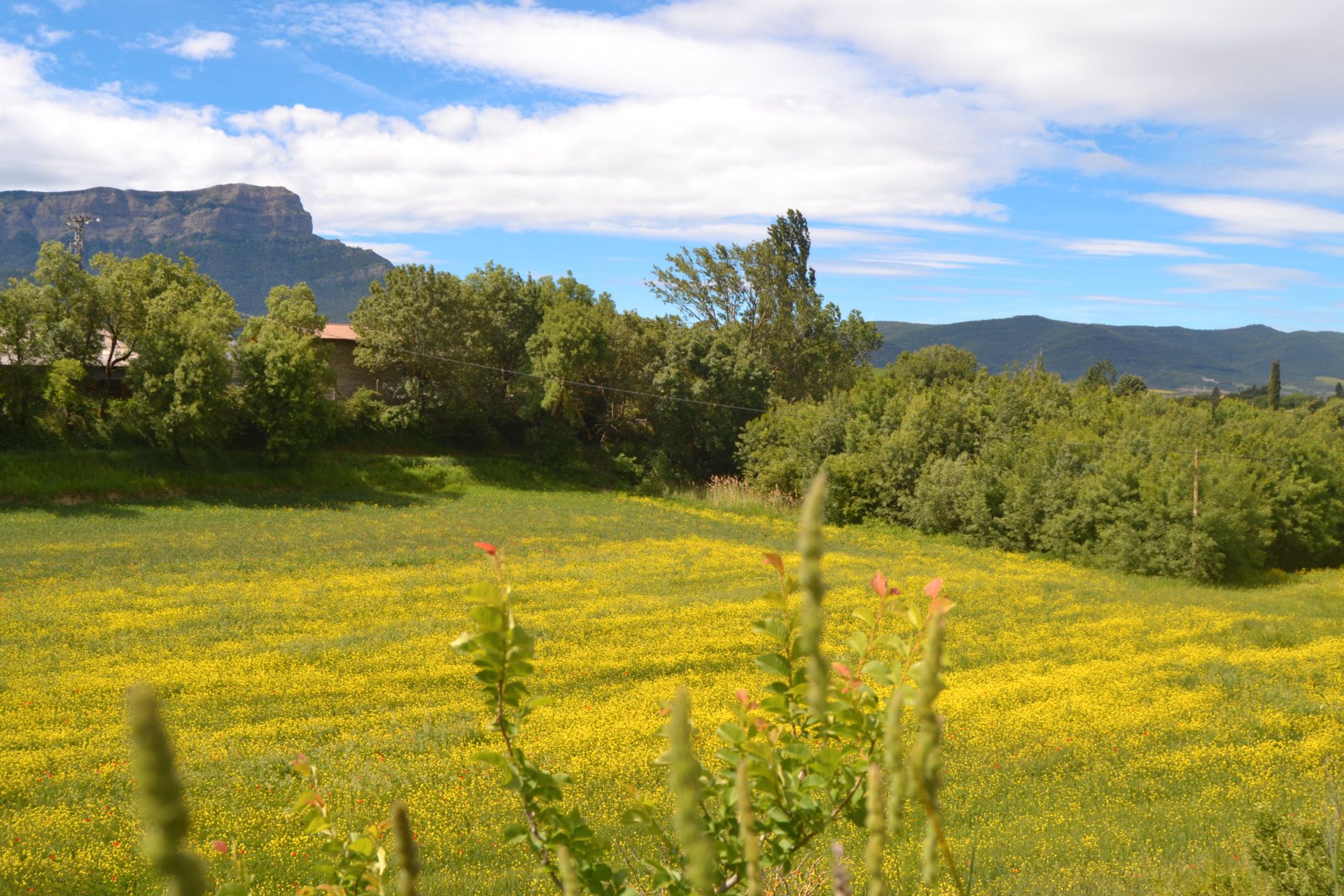Garden of Land for sale in Jaca