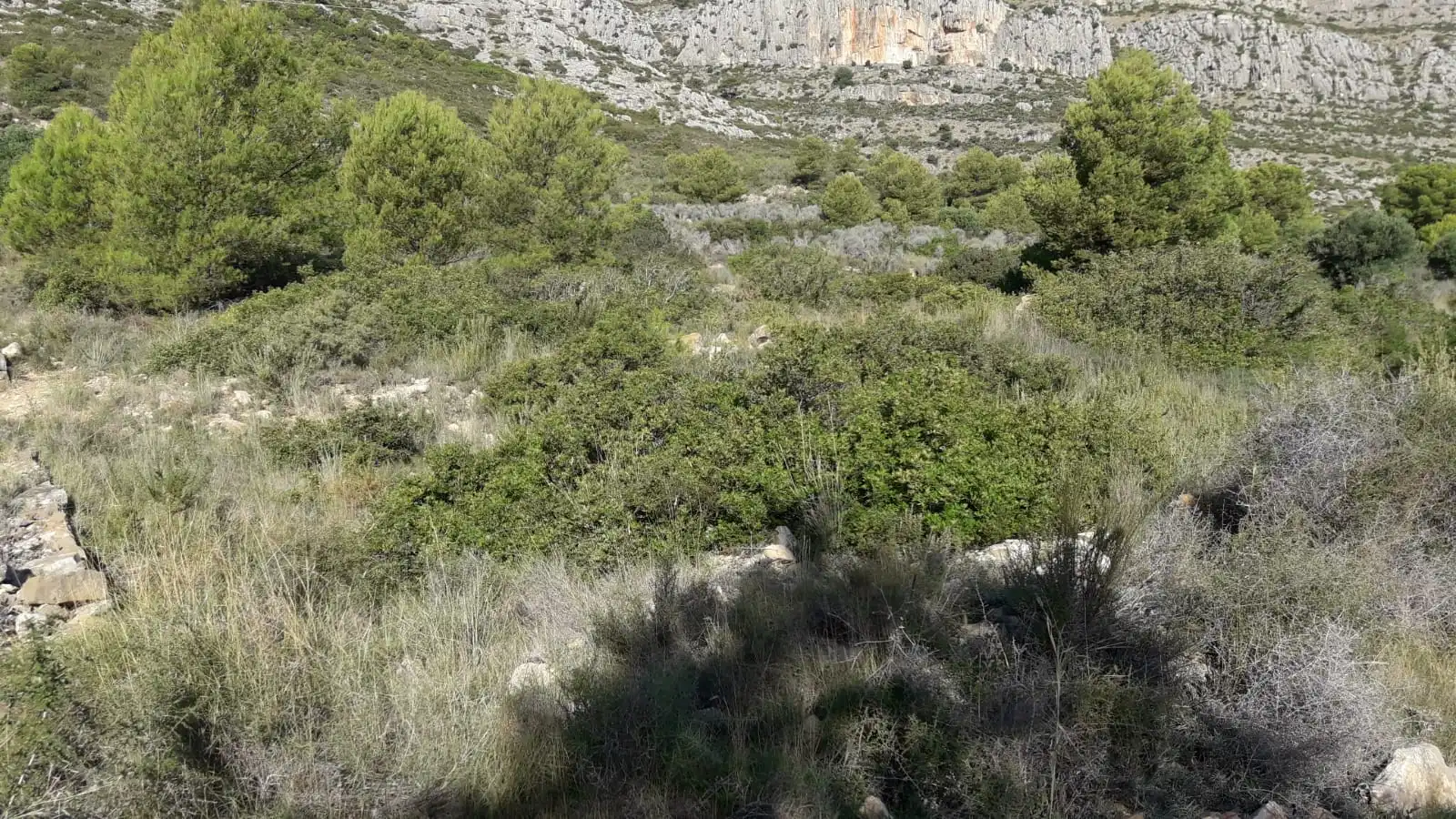 Residential land for sale in Polígono 5, imagen 6