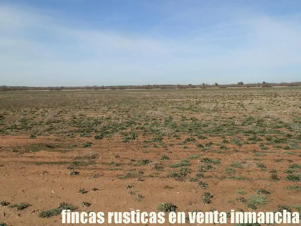 Rural land for sale in Madridejos, imagen 11