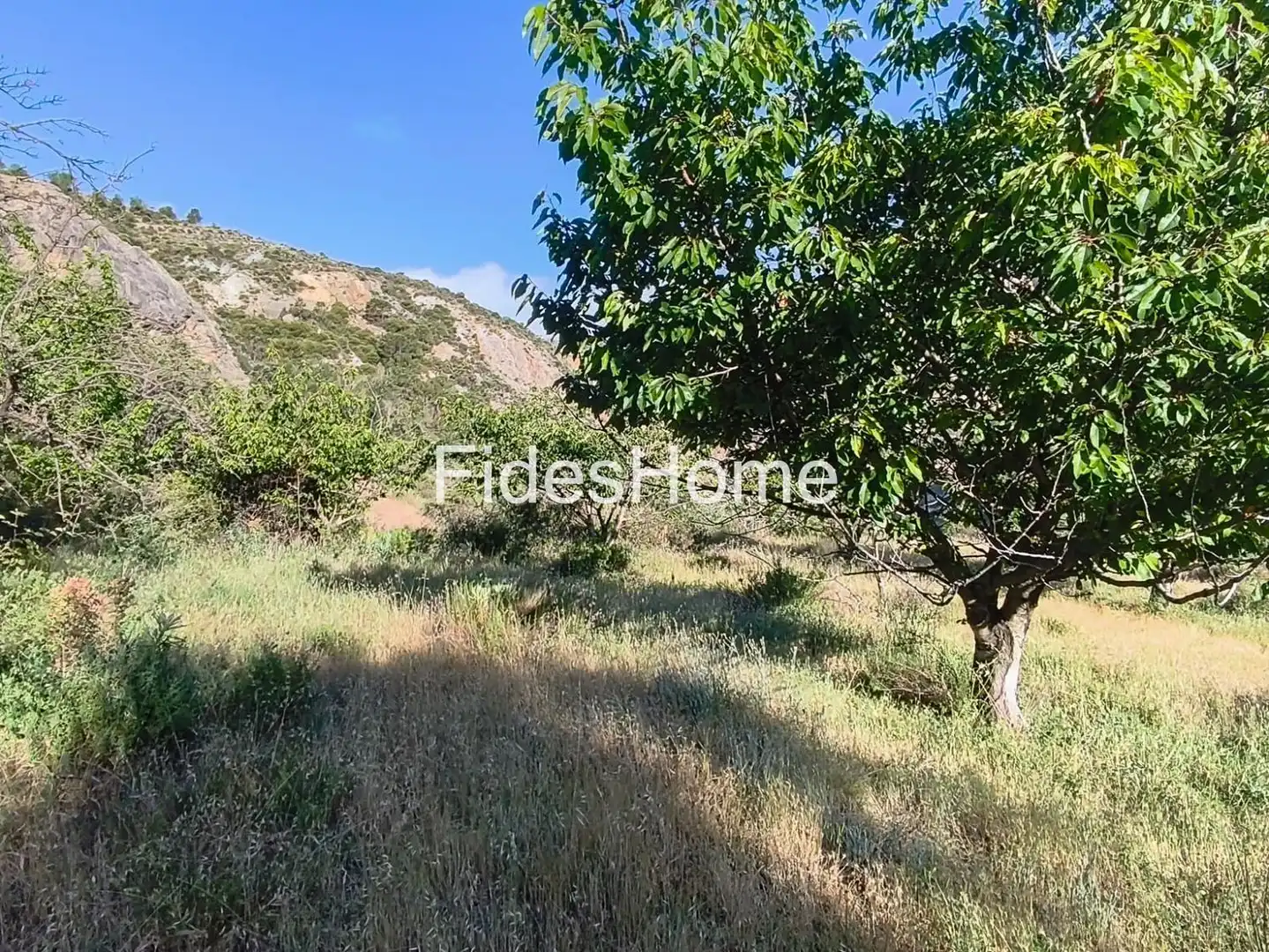 Rural land for sale in XFPP+9QX Nigüelas 0, imagen 5