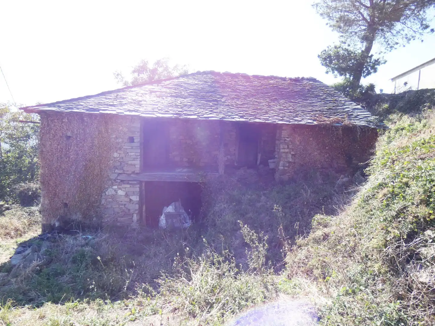 Houses for sale in Tineo