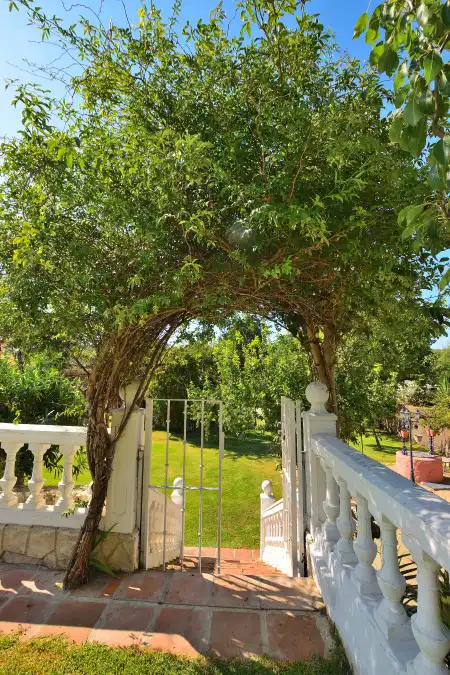 Finca rústica en venda a N/A, Benaoján
