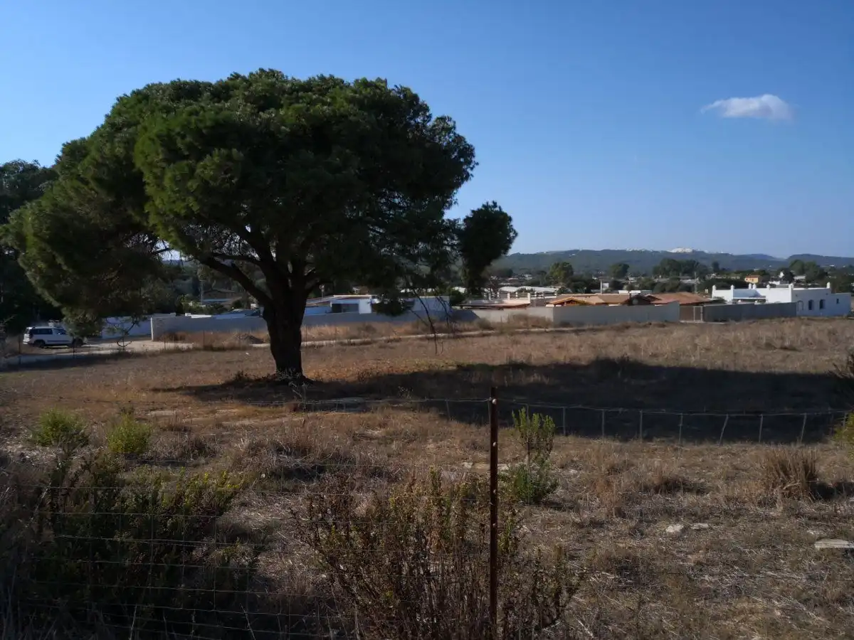 Terreno rustico in vendita a Barbate ciudad, imagen 2