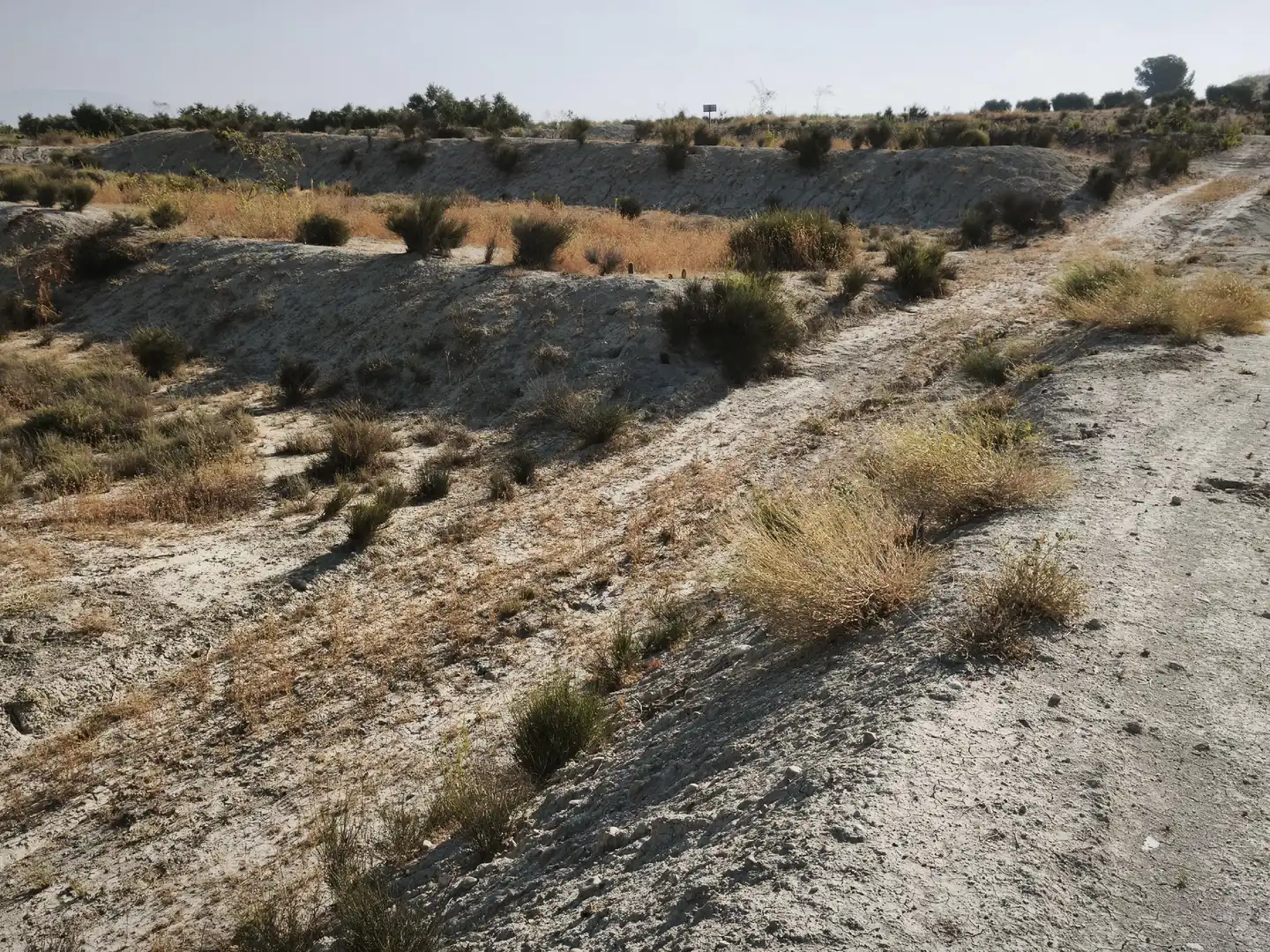 Terreni e lotti in vendita a Campos del Río, imagen 9