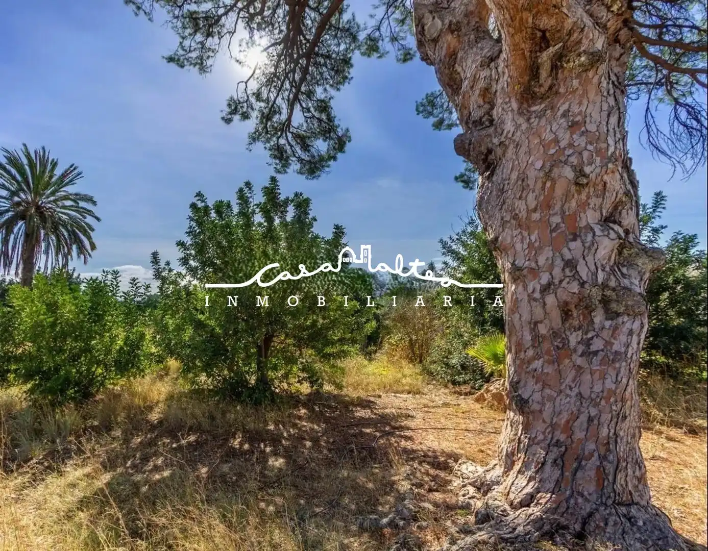 Rustikales Grundstück zum Verkauf in Altea ciudad, imagen 4