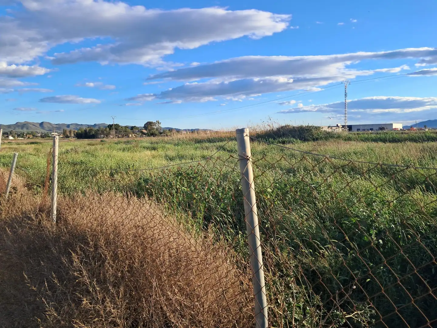 Terrenos y solares en venta en Lorca Ciudad, imagen 4