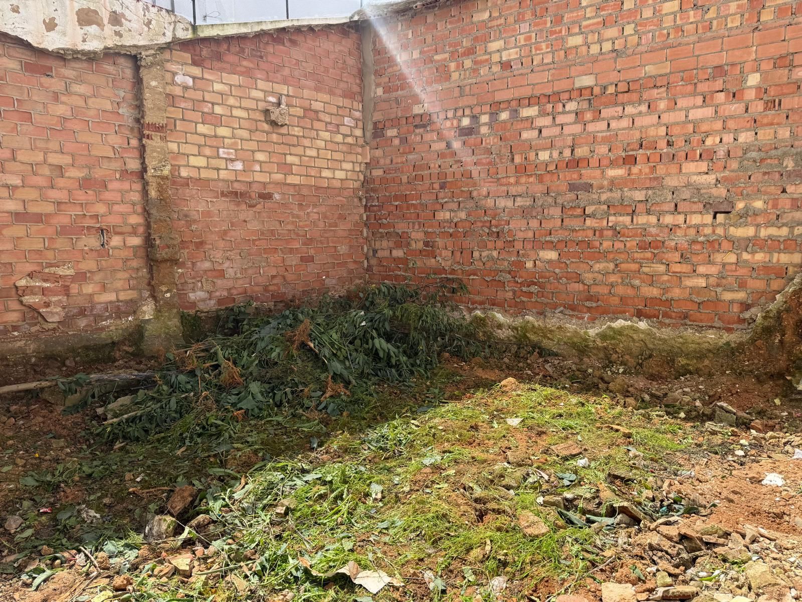 Garten von Grundstücke zum verkauf in Ayamonte