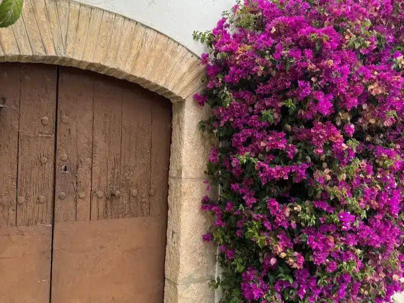 Vista exterior de Casa o xalet en venda en Sant Pere de Ribes amb Aire condicionat