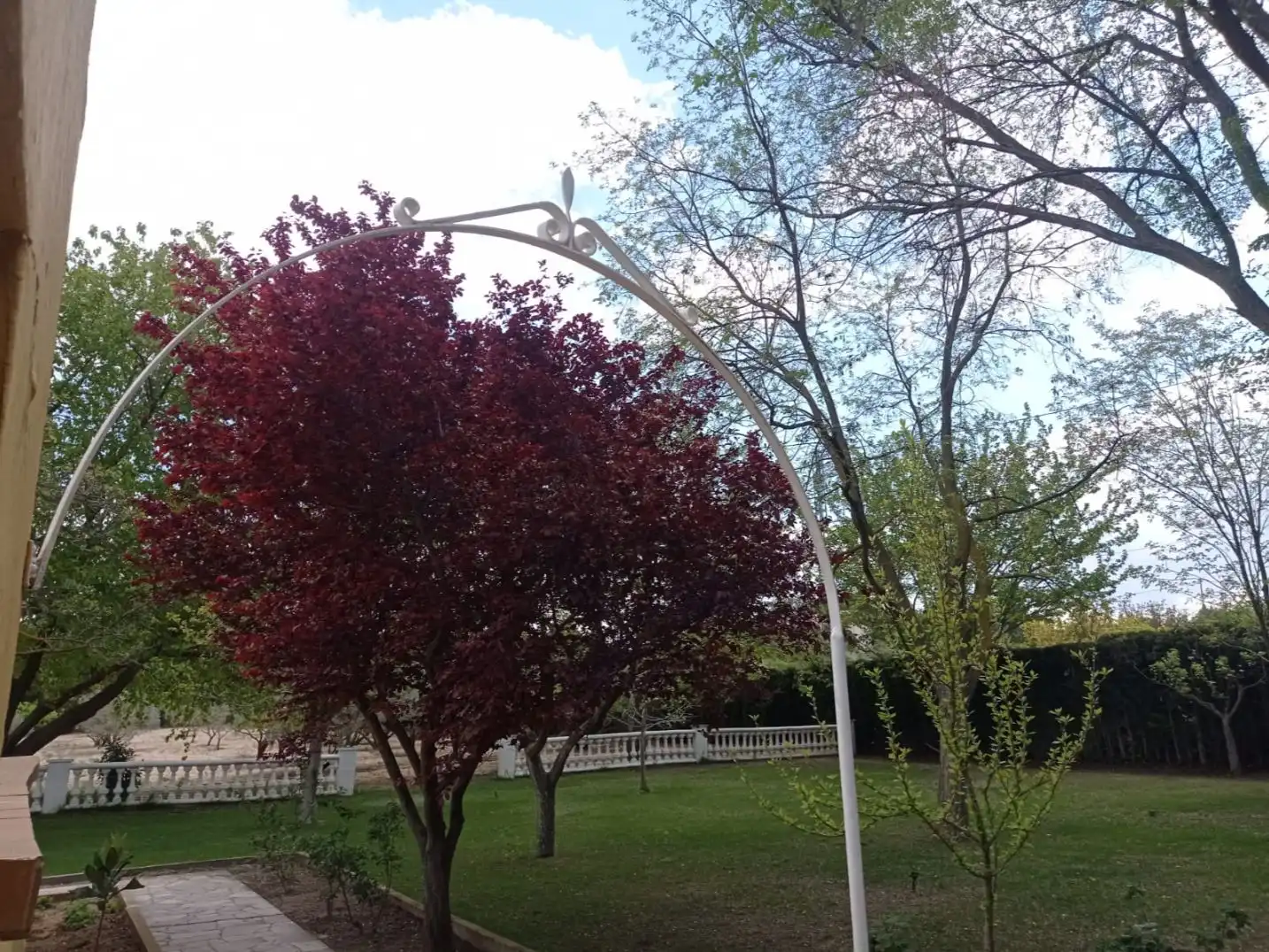Casa rústica con jardín en venta en Cotera del Armajal 295, imagen 3