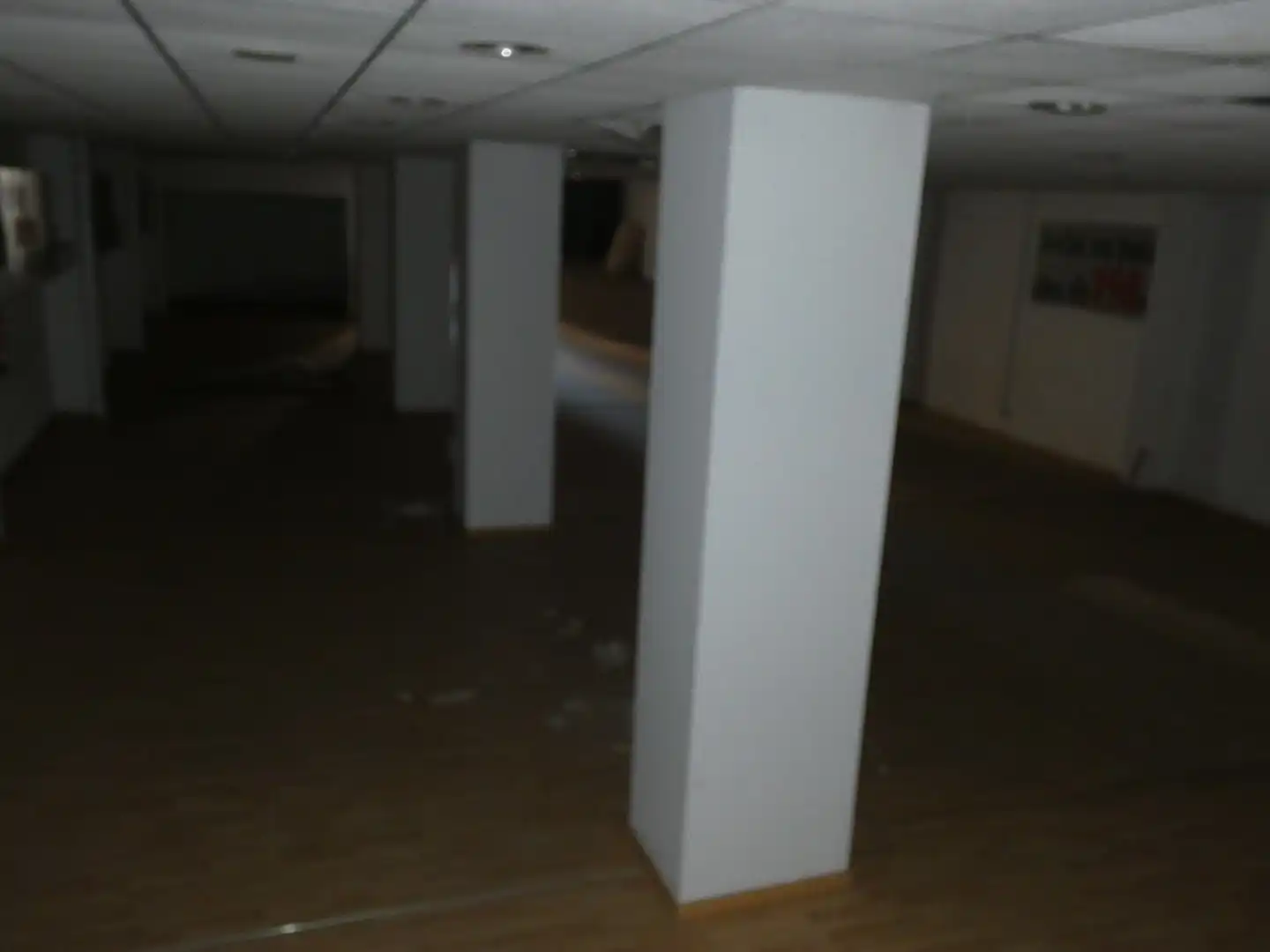 Gewerbefläche zur Miete in Martinica – Ateneu, imagen 14