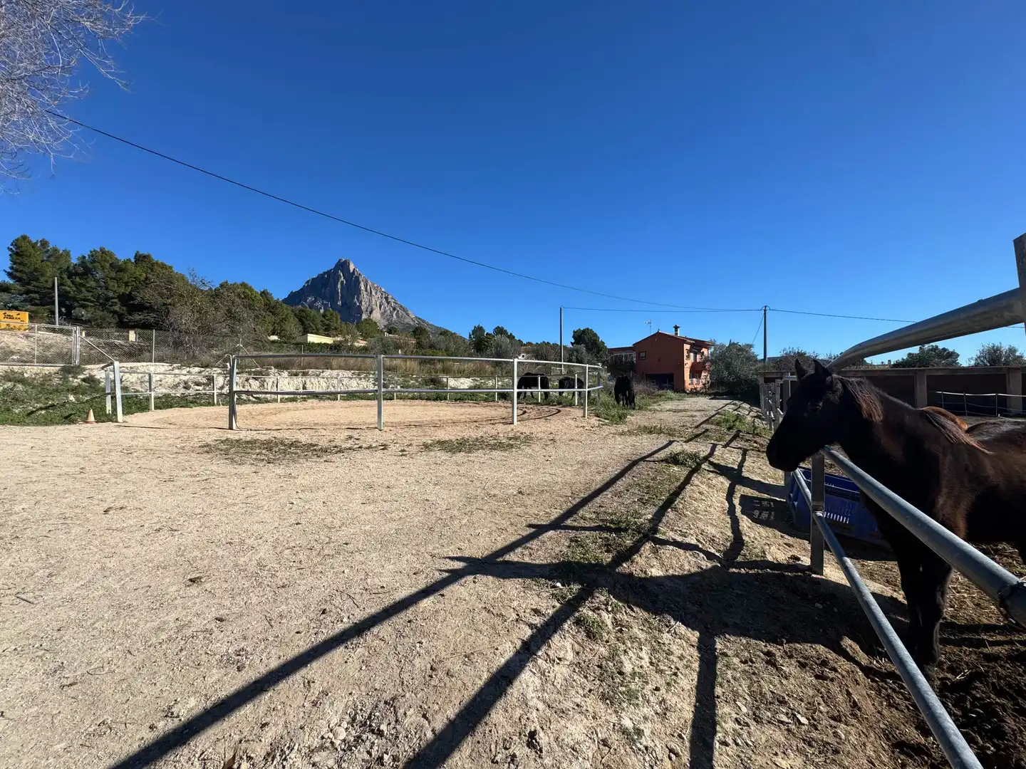 Landhaus zum Verkauf in Partida Partida l'Atzubia, imagen 76