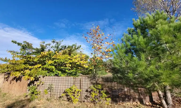 Lands and plots for sale in Garriguella, imagen 58