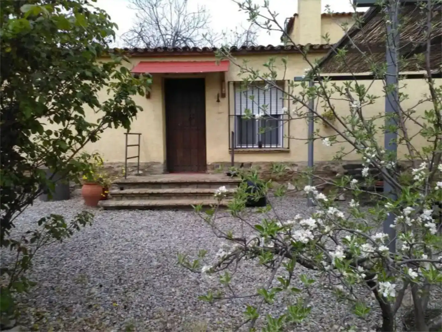 Vista exterior de Casa o chalet en venta en Usagre con Jardín privado