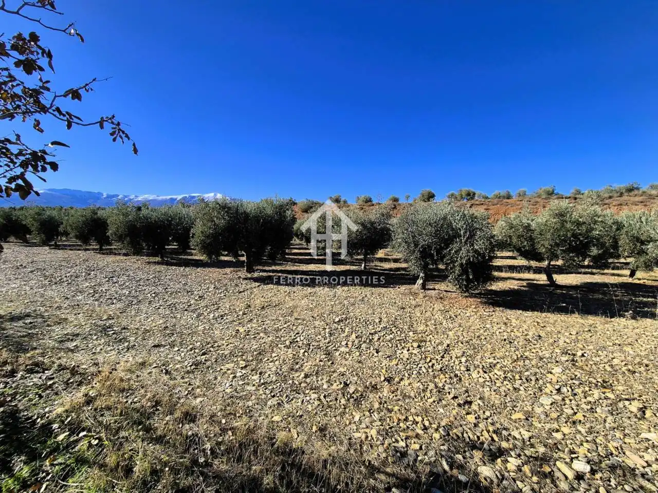 Lands and plots for sale in Lanteira, imagen 23